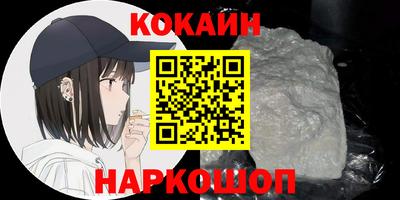 индика Камышлов