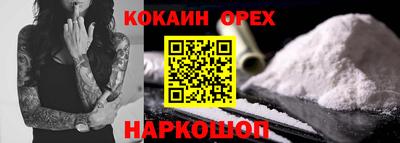 индика Камышлов