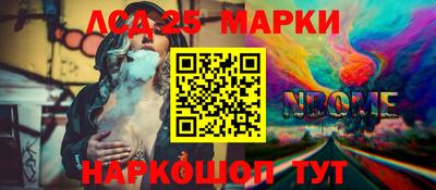 индика Камышлов