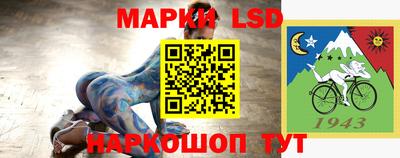 индика Камышлов