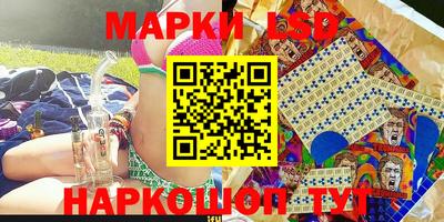 индика Камышлов
