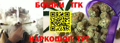 индика Камышлов