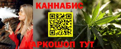 индика Камышлов