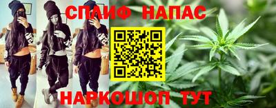индика Камышлов